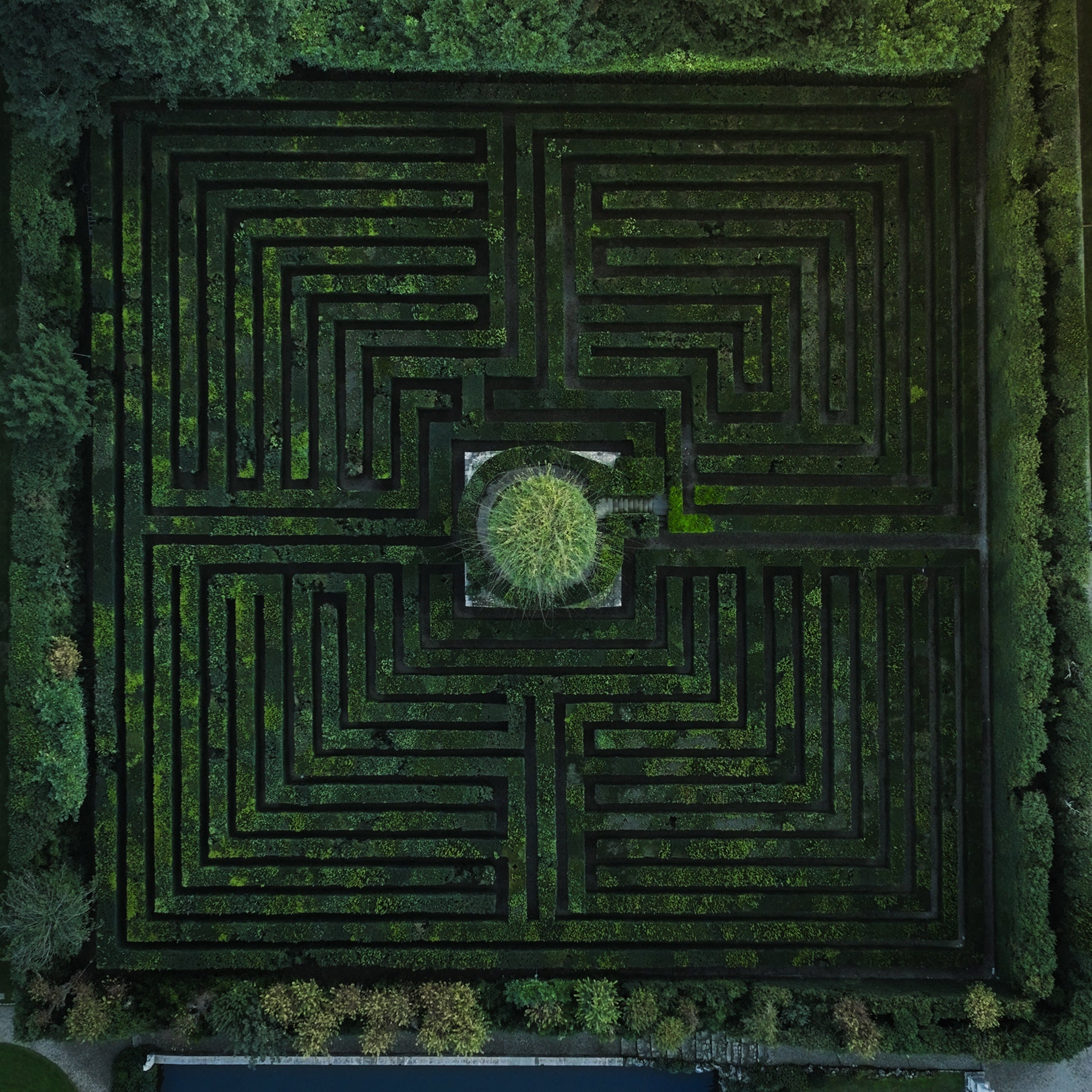 Behind the Scenes of the L’Éclipse Campaign Shoot